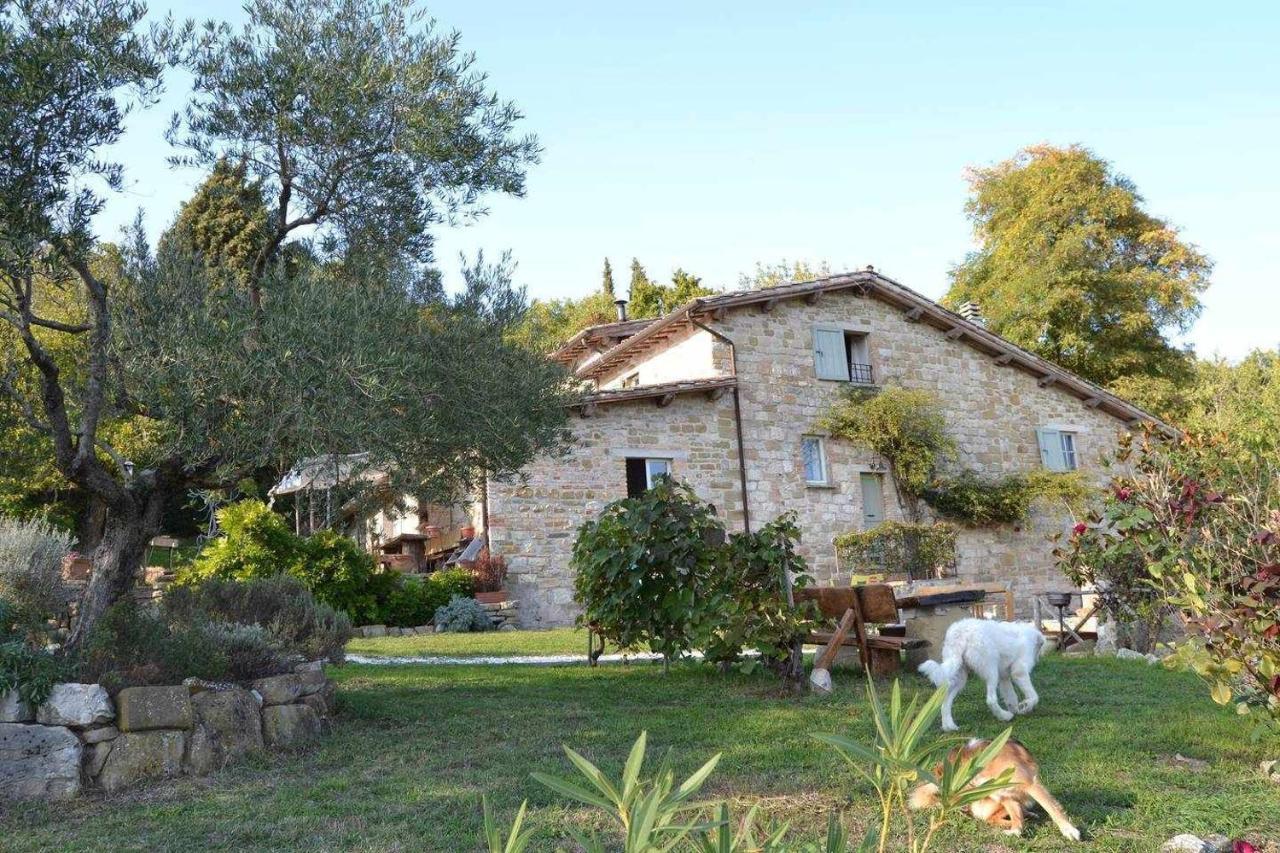 Villa Agriturismo Montesalce Gubbio Exterior foto